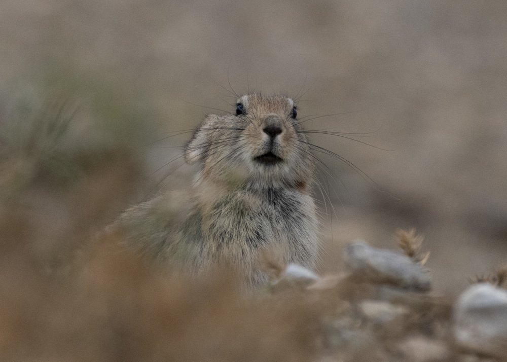 Photograph by Денис Жбир