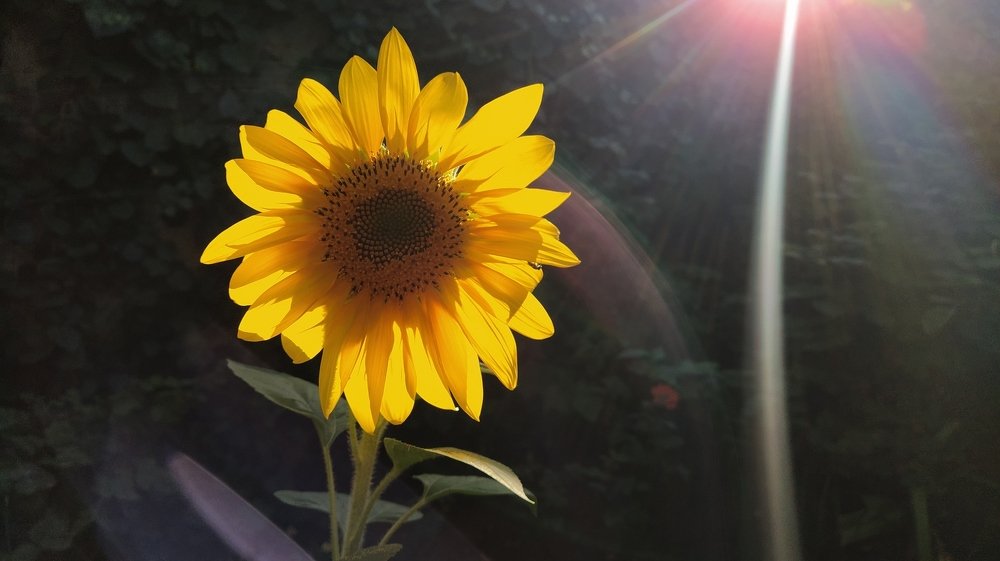 Photograph by Goga Mamulashvil