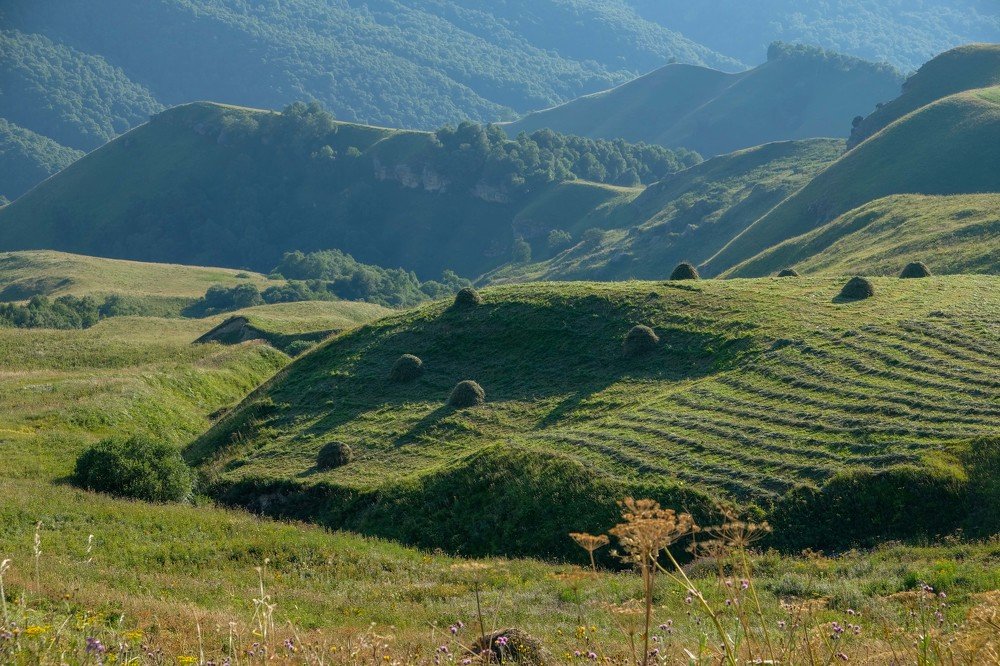 Photograph by Михаил Серебренников