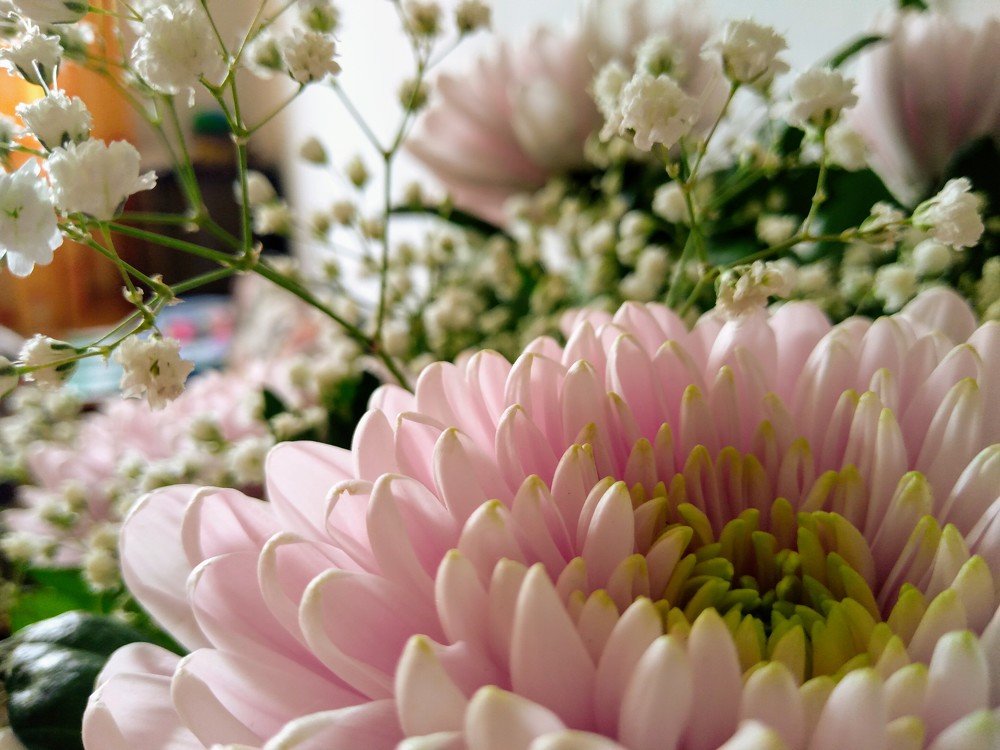 Photograph by Зоя