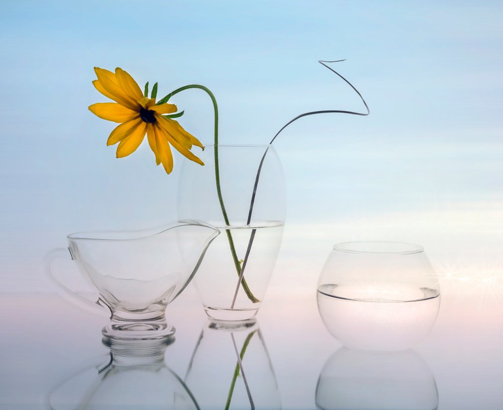 Фотография автора Людмила Прокофьева