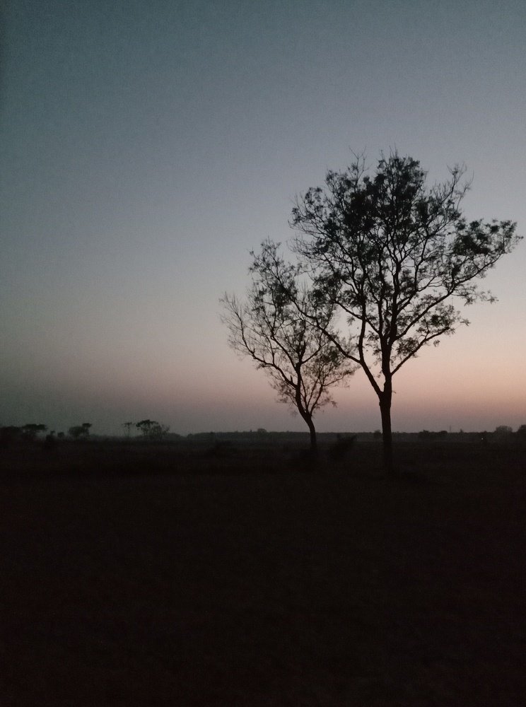 Beauty of nature