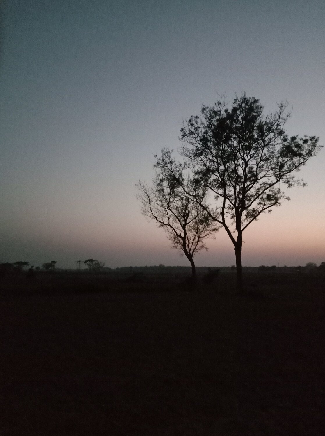 Beauty of nature