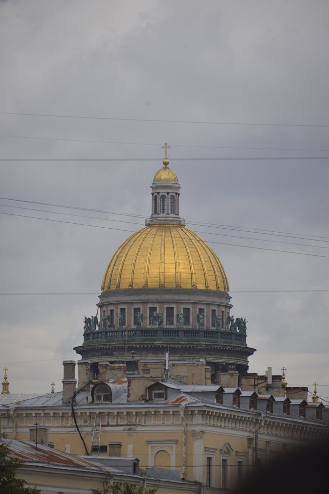 Фотография автора Larisa Meshkova