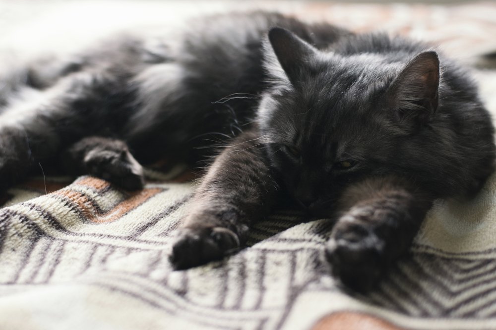 Photograph by Кристина (catykristi) Данилова