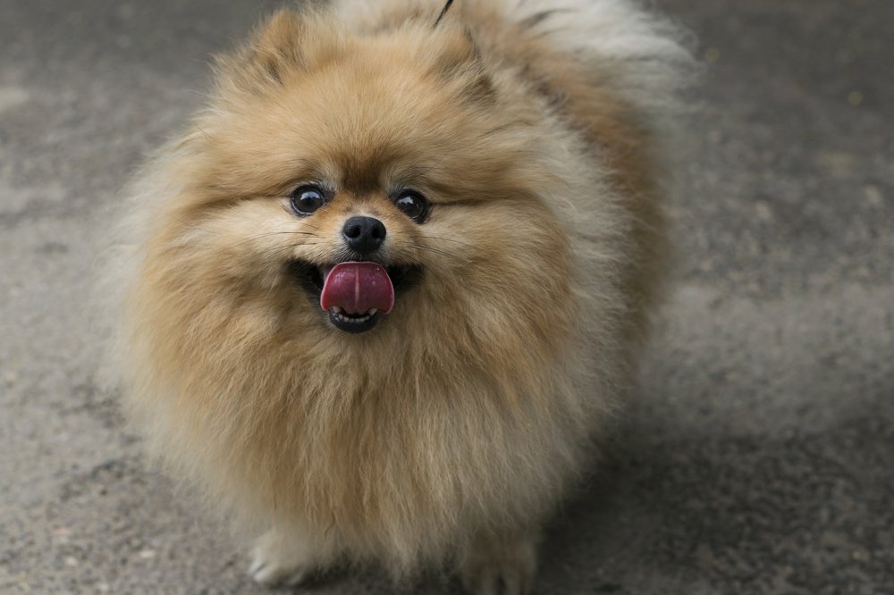 Photograph by Кристина (catykristi) Данилова