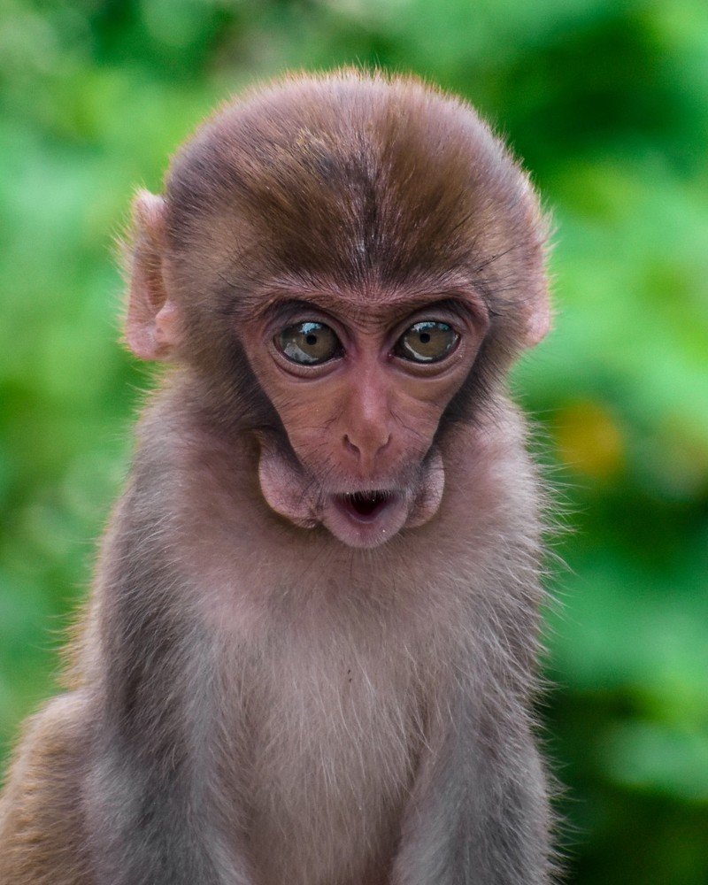 That moment of haaww