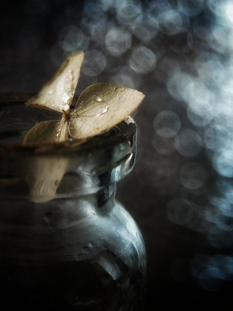 Прекрасное бесконечно