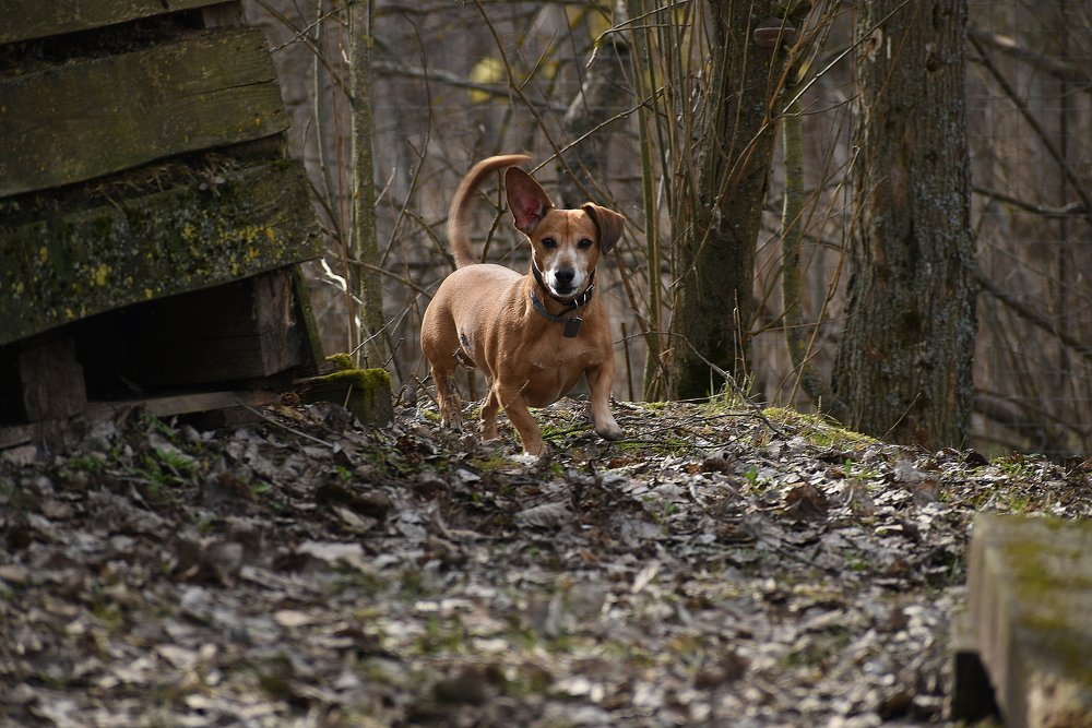 Photograph by Татьяна Крахина