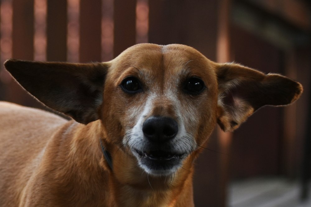 Photograph by Татьяна Крахина