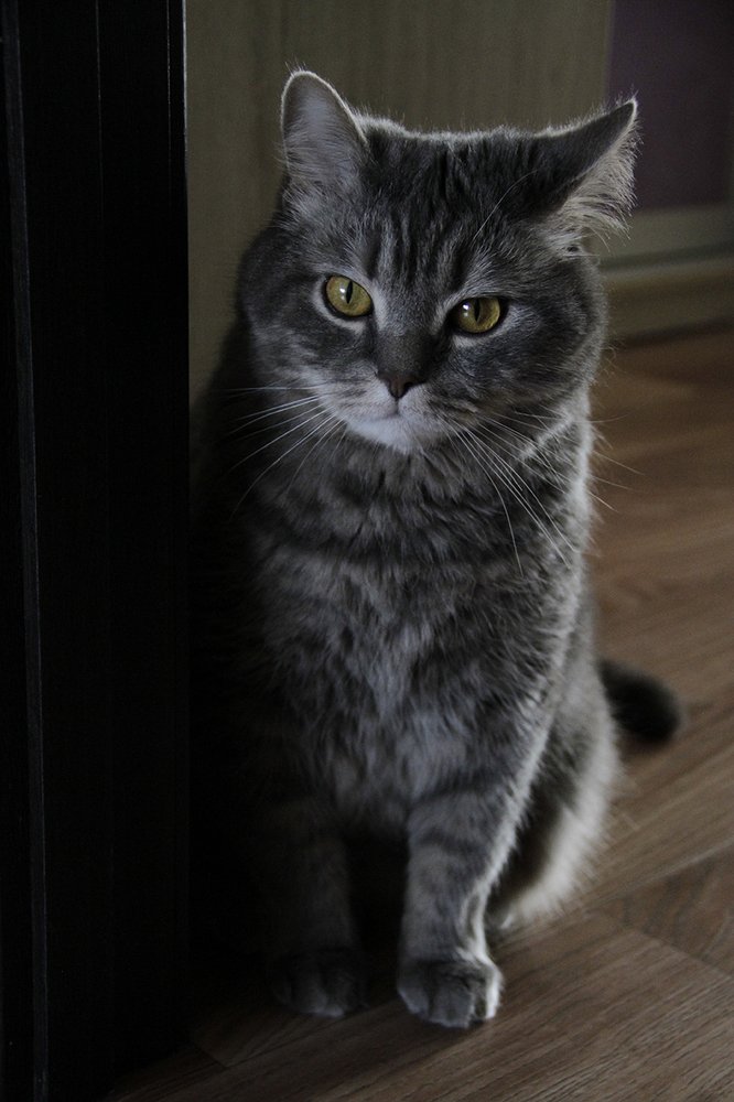 Photograph by Татьяна Васюра