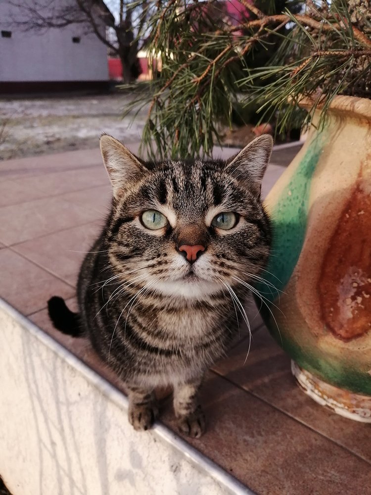 Photograph by Татьяна Васюра