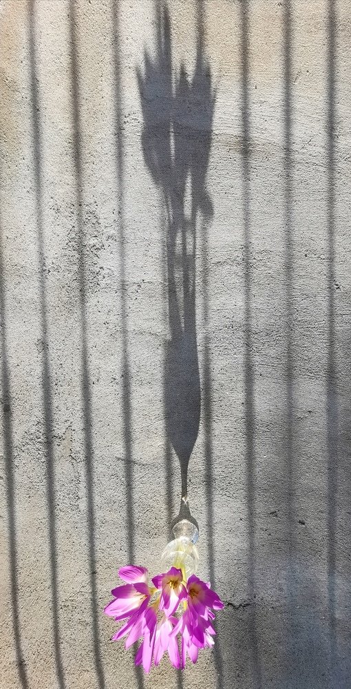 Фотография автора Павел Барский