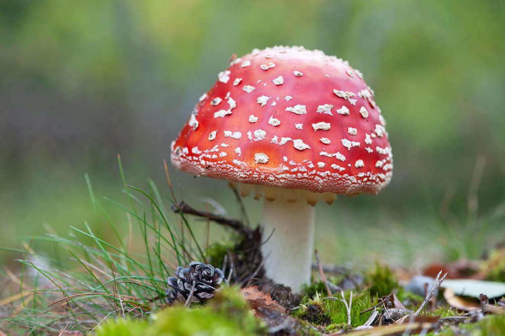 Photograph by Карина Воробьева