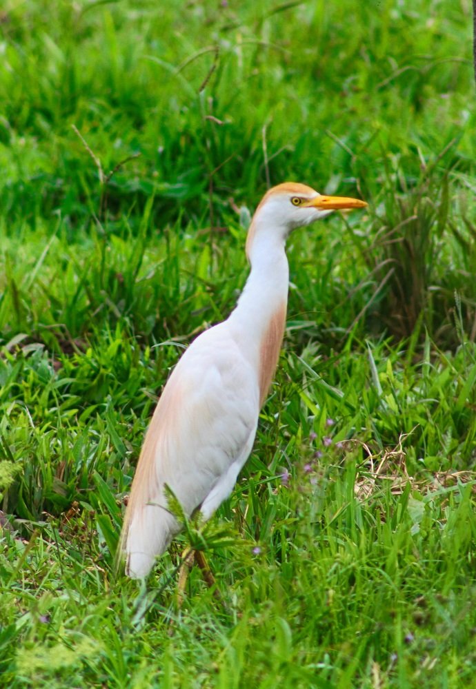 Photograph by Régis Santos