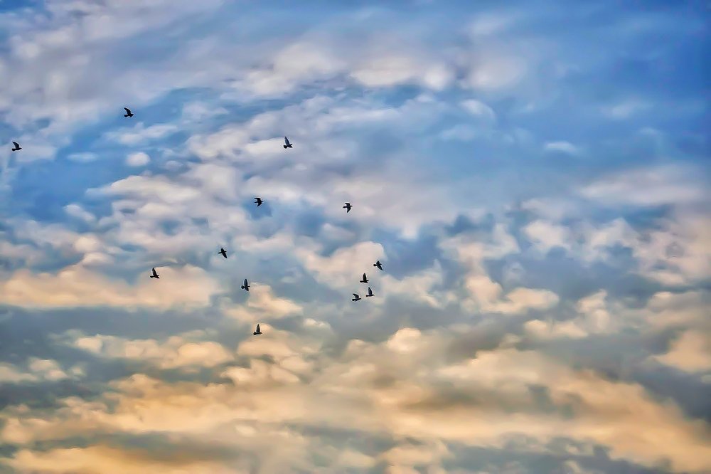 Photograph by DEBYENDU DAS