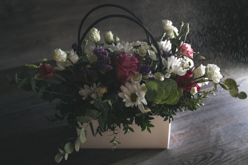 Фотография автора Яна Чхан