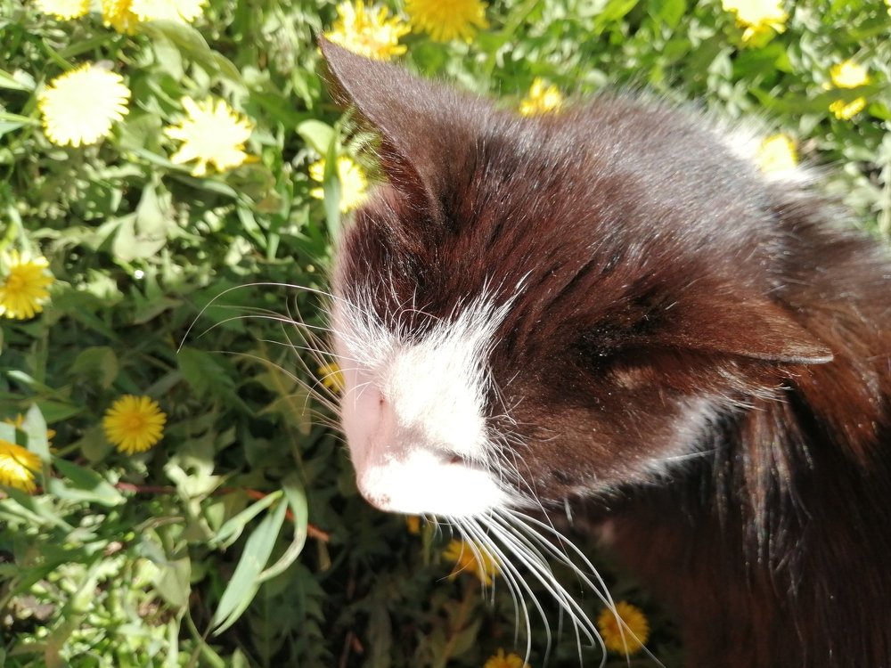 Photograph by Анжелика Короткова