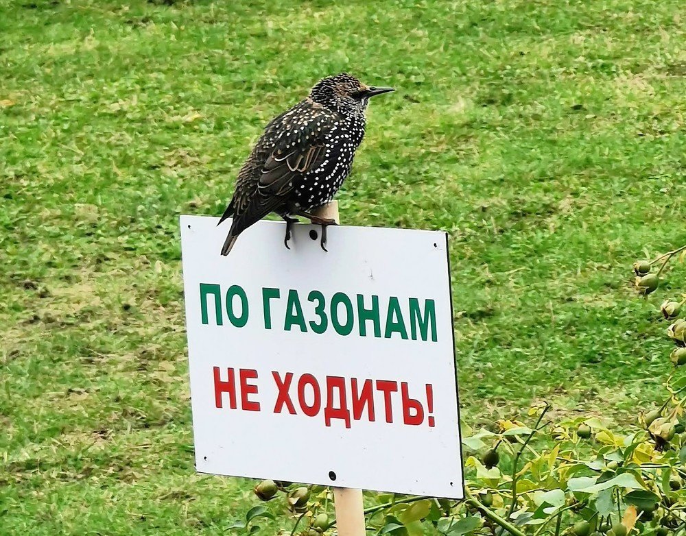 Photograph by Наточин Анатолий