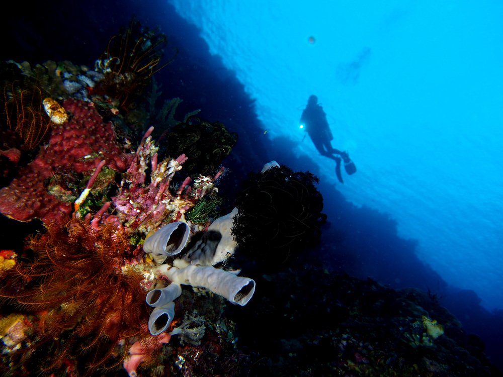 Photograph by Buyung Kunt Buyung