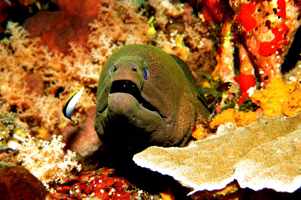 Photograph by Buyung Kunt Buyung