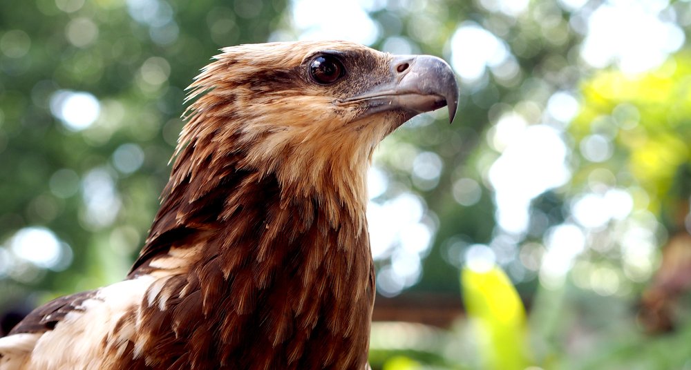 Photograph by Buyung Kunt Buyung