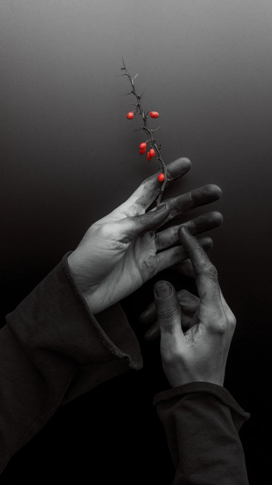 Photograph by Мария Никольская