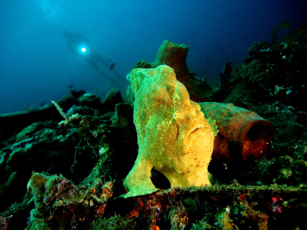 Photograph by Buyung Kunt Buyung