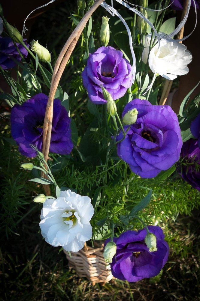 Photograph by Мария Причиненко