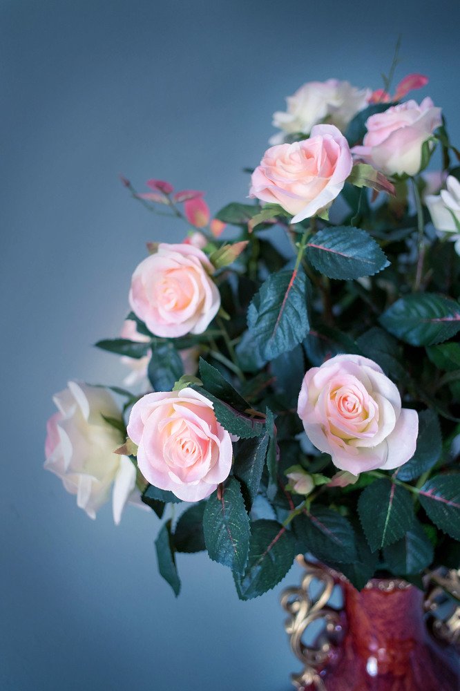 Photograph by Мария Причиненко