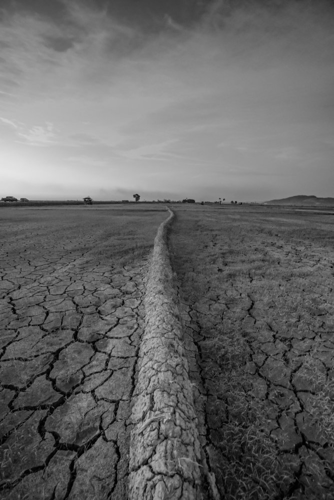 Photograph by Wong Melvin