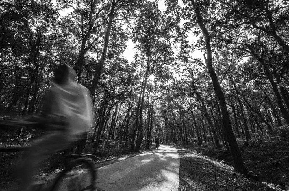 Photograph by Sudipta Mallick