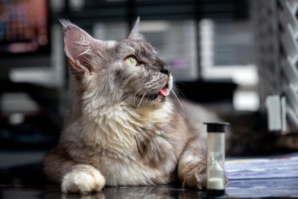 Photograph by Елена Цырюк