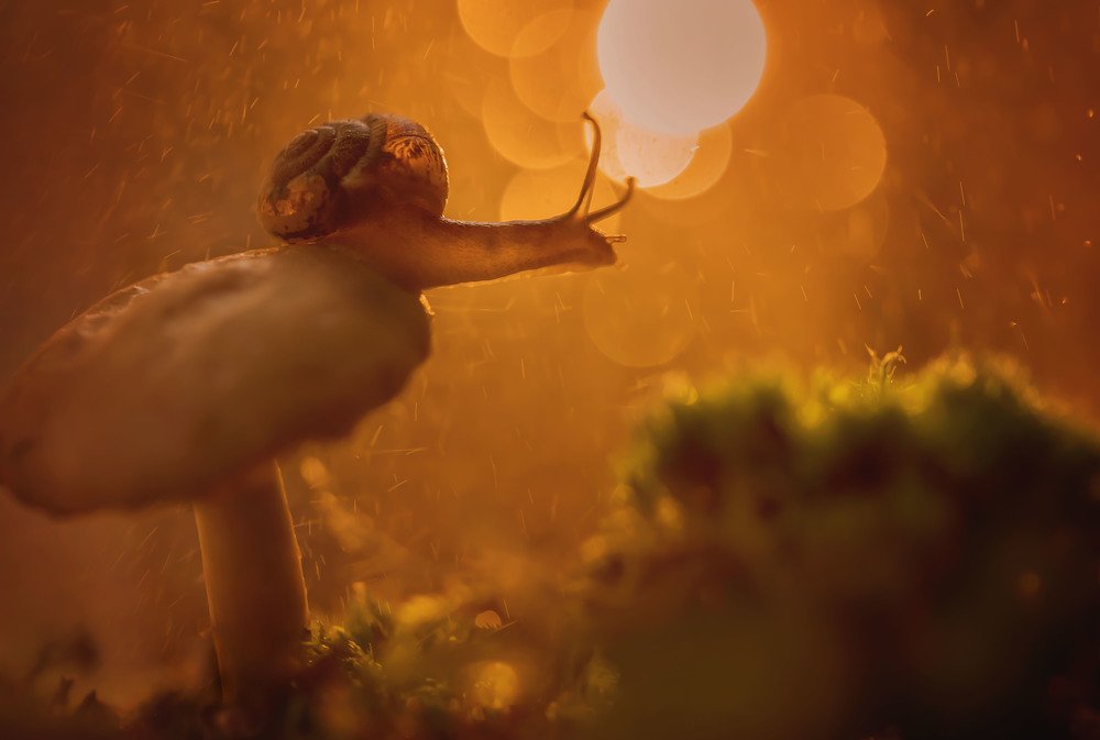 Photograph by Елена Иванова