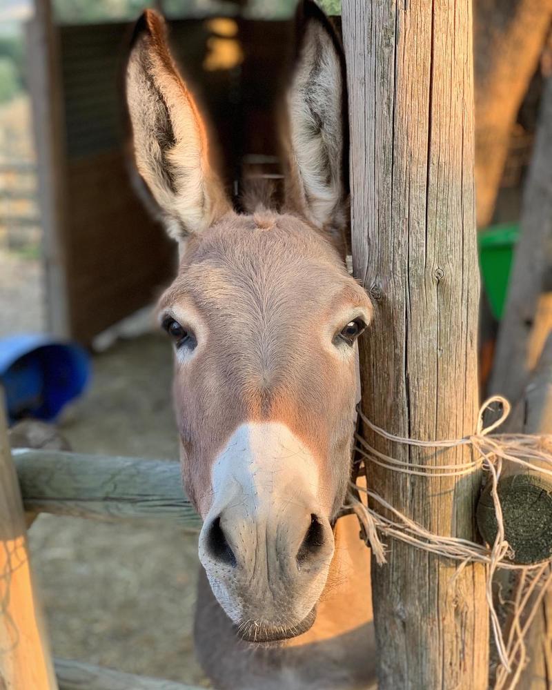 Photograph by Марина Неберекутина