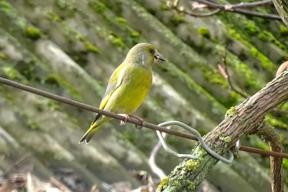 Photograph by Аркадий Смирнов