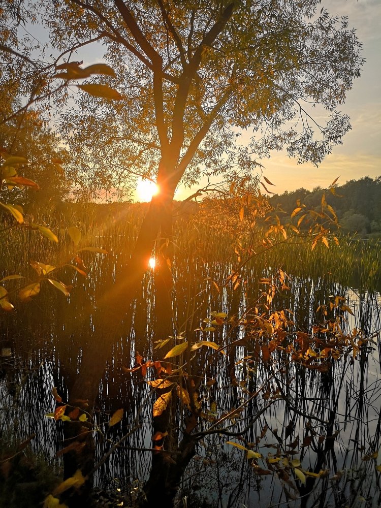 Последние лучи солнца...