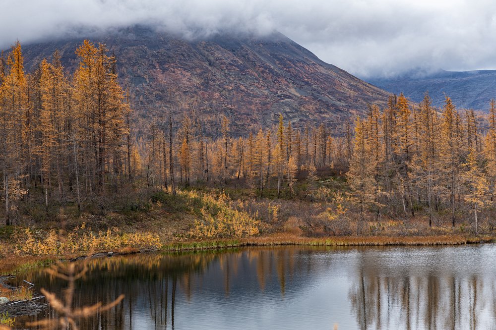 Photograph by Ирина Ульянова