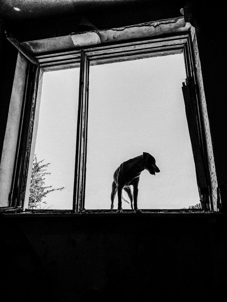 Обследование заброшенного дома