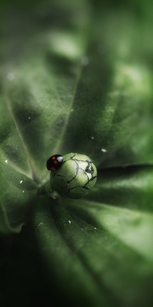 Устройство Вселенной