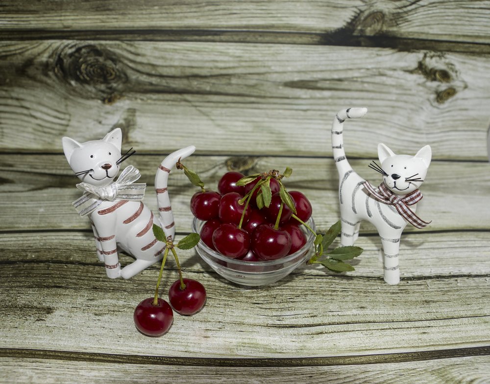 Photograph by Меркулова Наталья Геннадьевна