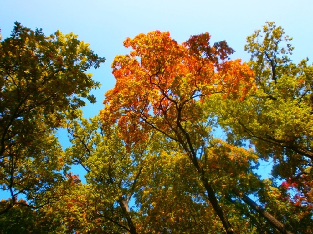 Photograph by Анастасия Игошина