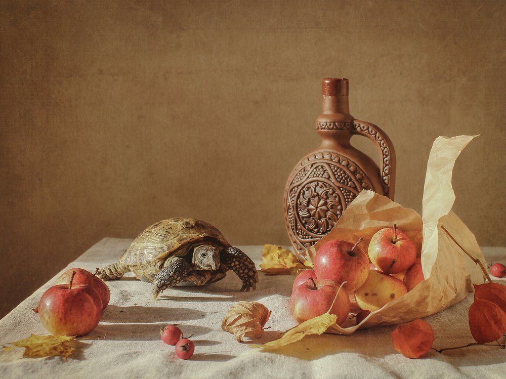 Photograph by Ольга Савостина