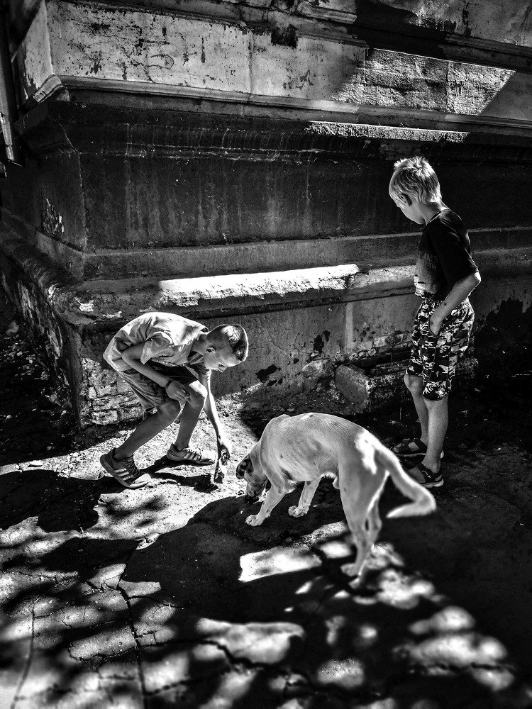 Помощь бездомному псу