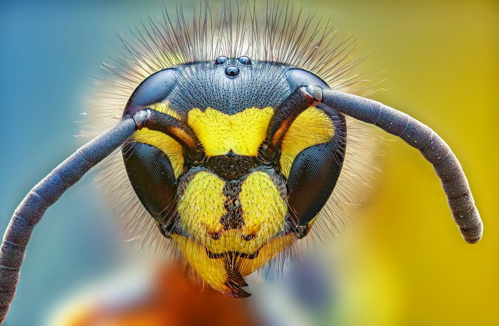 Photograph by Иван Радьков