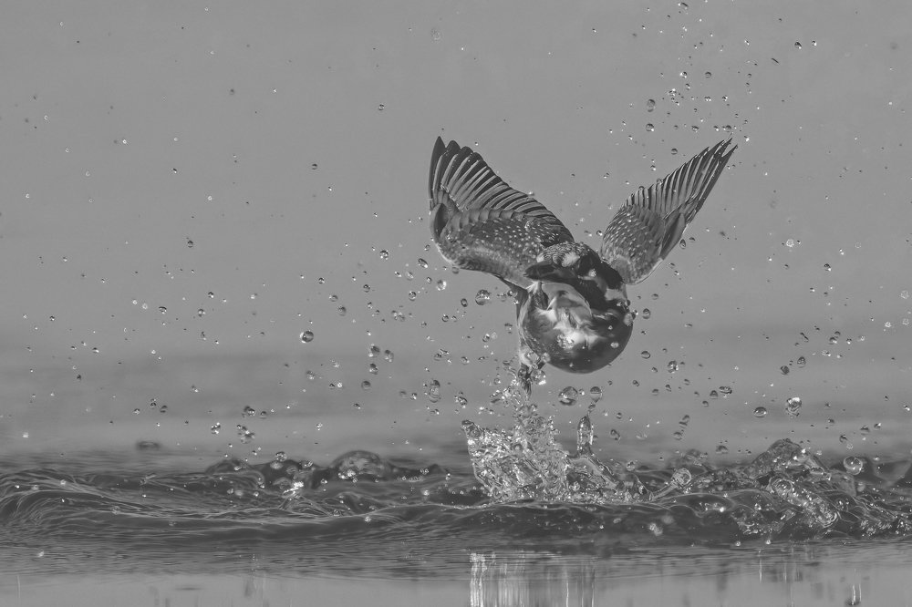 Photograph by Ernestas Balcikonis