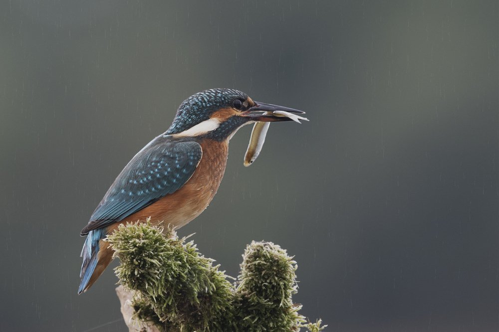 Photograph by Ernestas Balcikonis