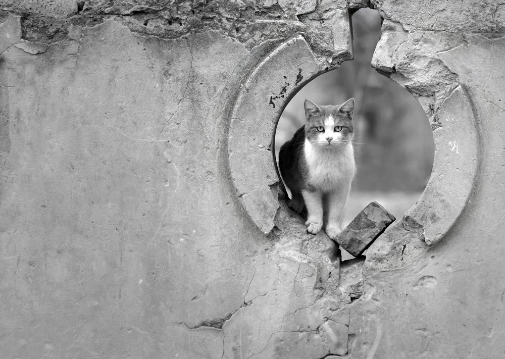 Photograph by Александр Белянский