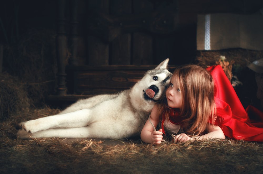 Photograph by Ольга Могдалёва