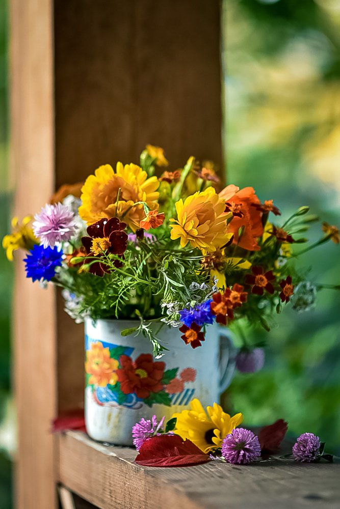 Photograph by Анна Кондакова